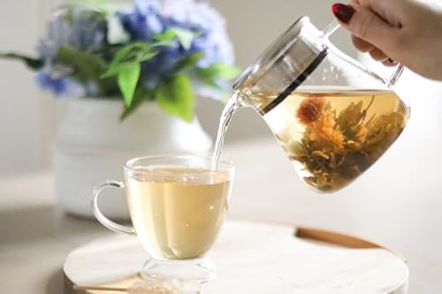 Image of Teabloom One-Touch Tea Maker, 2-in-1 Teapot and Kettle with Stainless Steel Filter Lid for Loose Tea - Stain-Free Borosilicate Glass Tea Pot (15 Oz) - Tea Connoisseur's Choice (Pack of 2)