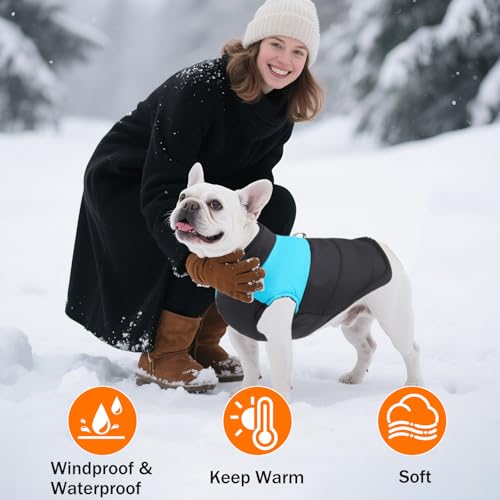 Ledeak Winter Warm Pet Hund Kleidung, Hundemantel Wasserdicht Winddichter, Hundejacke Wintermantel, Welpen Hunde Weste Bekleidung Kleidung, Winterjacke Baumwolle für Mittel und Kleine Hunde (Blau, M)