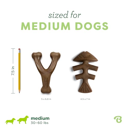 Image of Benebone 2-pack Fishbone /Wishbone Durable Dog Chew Toys, Real Fish, Real Bacon, Made in USA, Medium