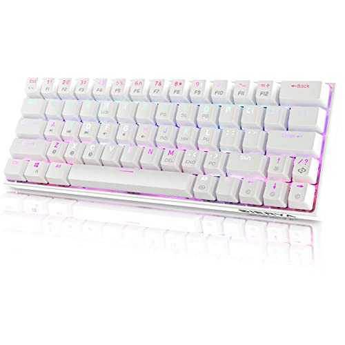 DIERYA DK63N Wireless Wired 60% Mechanical Keyboard, with Arrow Keys, RGB Backlit Gaming Keyboard, Type-C Cable Bluetooth Keyboard Full Keys Programmable, 63 Keys Compact Keyboard(Red Switch)