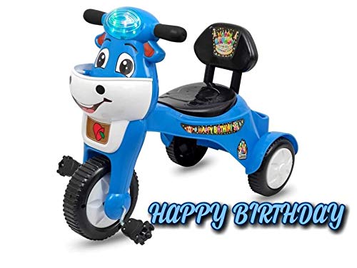 pandaoriginals Happy Birthday Cycle Blue (B07MK9JKGW) Amazon Price History, Amazon Price Tracker