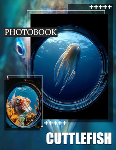 A captivating underwater photo of a diver observing a cuttlefish