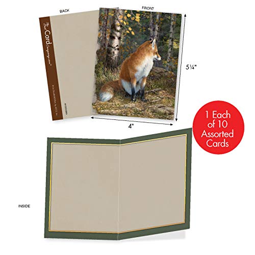 The Best Card Company - 10 Assorted Blank Notes Boxed Set 4 X 5.12 Inch With Envelopes (10 Designs, 1 Each) All-Occasion Kid Cards Of Pets - Into The Woods M10032Bk #TOP1