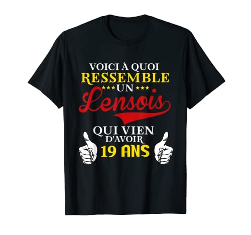 Voici à quoi ressemble un lensois anniv 19 ans - humour T-Shirt Cover