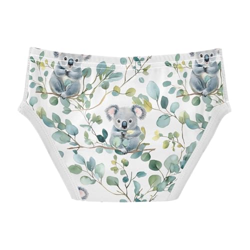 Tropical Koala Eucalyptus Branches Toddler Boy's Underwear 2T 202b90282
