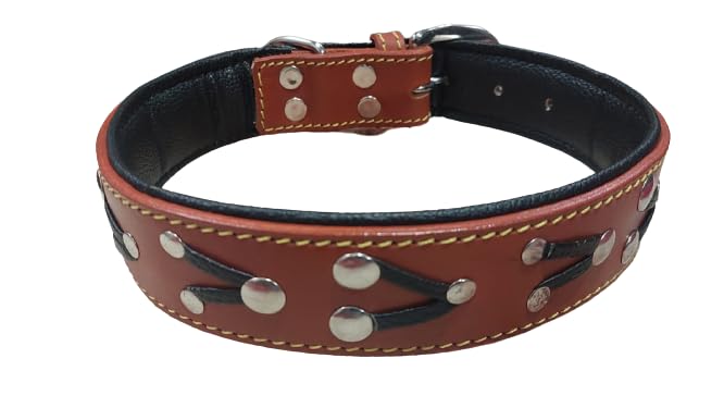 Dog Collar Genuine Leather Belts Heavy Duty Padded Adjustable Small Medium Large,?63 cm,W_10 cm,Brown (B0CHXCFP16) Amazon Price History, Amazon Price Tracker