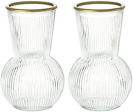 Smiletag Ribbed Glass Vases, Modern Fluted Glass Vases for Living Room Decor, Flower Vases for Centerpieces, Dining Table, Entryway, Mantle, Shelf, Bedroom, Wedding Set of 2