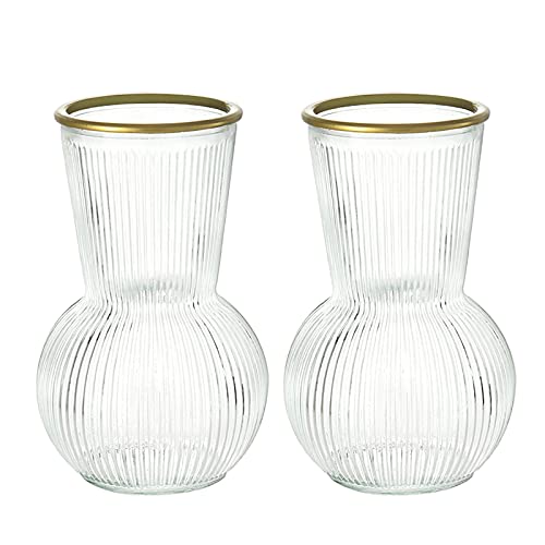 Smiletag Ribbed Glass Vases, Modern Fluted Glass Vases for Living Room Decor, Flower Vases for Centerpieces, Dining Table, Entryway, Mantle, Shelf, Bedroom, Wedding Set of 2 Clear