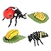 Milageto 4 pièces Jouet de Simulation Animal Vinyle Solide Modèle Evolution Etape Environnement Vie Croissance Cycle Ensemble - Coccinelle