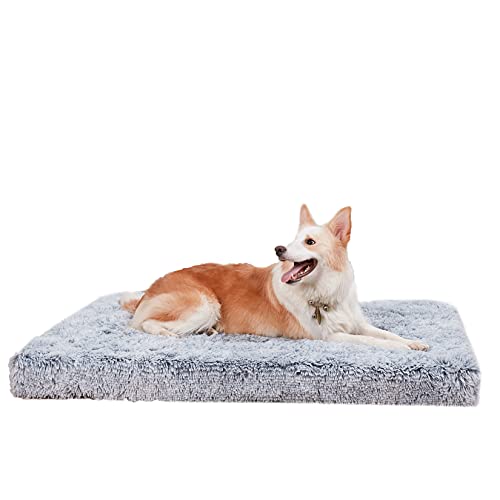 Top 10 Petco Memory Foam Dog Beds of 2022 Best Reviews Guide