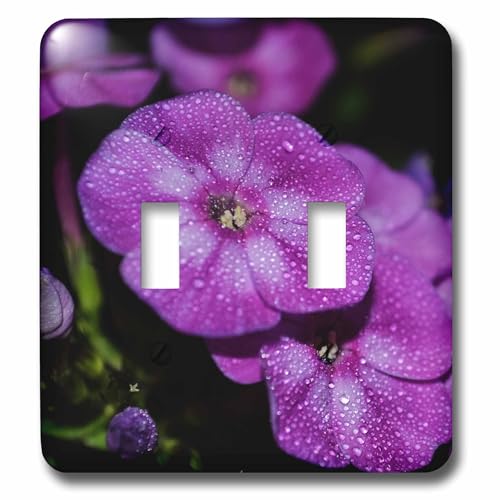 Interruptor multicolor 3dRose lsp_28302_2 Garden Laura Phlox rosa 2
