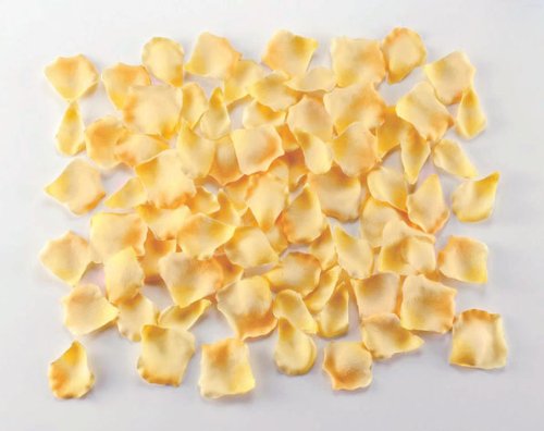 DecorationLabo/[Yy^ POO/pbN CG[ FLE7013YL [Yy^ Ԑ  Ԃт o  t[V[