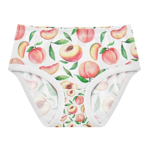 Watercolor Peaches Toddler Girls's Underwear 2T 202c1405