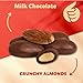 Milk Chocolate Covered Almonds 2-Pound Bag | Classic Chocolate Covered Nuts | Coated Roasted Almonds for Buffets, Party Favors, Gifting, Corporate Events & Movie-Night Mixes