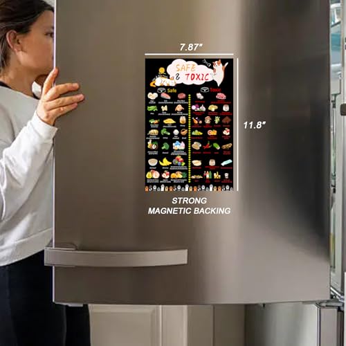 Magnetic Safe Foods Guide for Dogs and Cats,Dog Feeding Chart Fridge Magnet, Foods Dogs Shouldnt Eat Chart Decorative Magnets,Dog Cat Safety Emergency Numbers Magnet-11.8" x 7.8"-Black by Blirik - Image 6