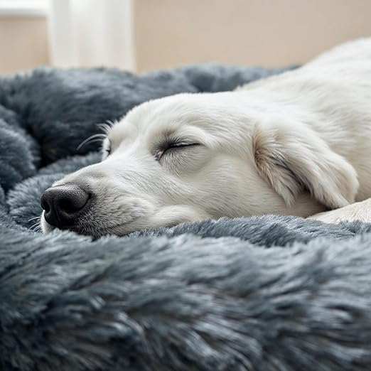 Image of ZEXSAZONE Round Donut Pet Bed for Cats, Puppies, and Dogs, Cozy and Plush, Raised Bedside Support, Both Sides Use Like 2-in-1, Washable, Sizes for Small, Medium, and Large Pets. (Grey, Medium)