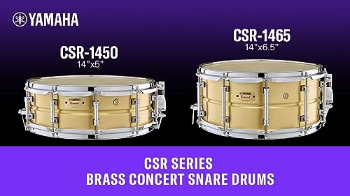 ��� �ݻ�Ľȱ CSR1450