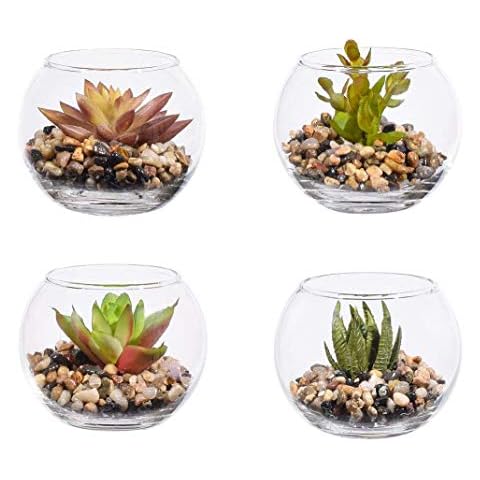 4 pack Fake Succulent Plant Artificial Potted Plants,indoor plants decor Mini Plastic Succulent with Clear Round Glass Planters Artificial Plants in Pots Fake Flowers Greening for Home,Office Cover