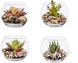 ❷ Fácil de mantener: estas hermosas plantas suculentas falsas son la manera perfecta de llevar el encanto del jardín a su hogar sin ningún tipo de mantenimiento o desorden