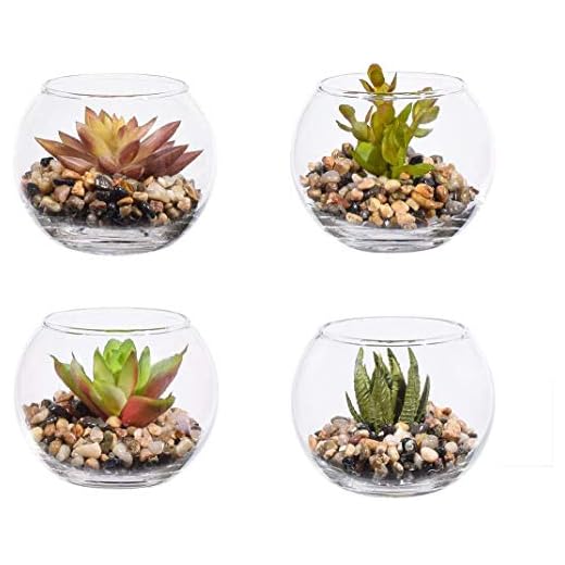 Ecosides 4 Piezas Plantas Artificiales en Macetas de Cristal,Reales Plástico Suculentas Cactus Naturales Plantas y Flores Artificiales Verdes para Casa,Cocina,Jardín Hogar Oficina Decoración