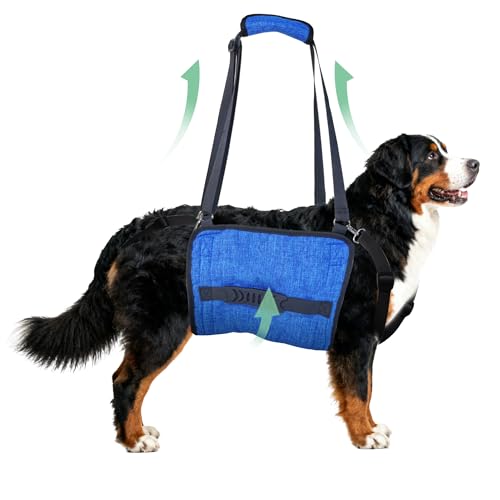 Adjustable Dog Lift Harness, Dog Carry Sling Provides Rear Leg Support for Arthritis and After ACL Surgery Dogs,Suitable for Medium to Large Dogs,XXL
