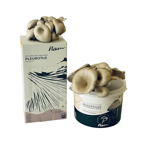 Nam - Kit Autocultivo Setas Ostras, Begginer Bundle, Hongos Incubados, Cultivo Casero en 10 Días, Fácil para Cosechar Champiñones Frescos, Mini Huerto Urbano