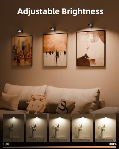 Image of EZVALO Picture Lights for Wall, 2000mAh Rechargeable Battery Magnetic Poster Lights with 3 Color Temps & 12 RGB, Remote Dimmable Timer Painting Light, Wall Decor Light for Art Display, Frame (3 Pack)