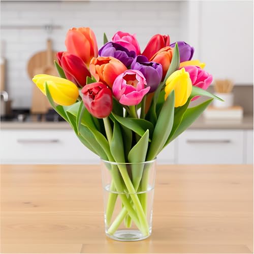 stargazer barn - 15 stem rainbow tulips vase not included - fresh flowers for delivery - gift for anniversary birthday congratulations get well graduation sympathy