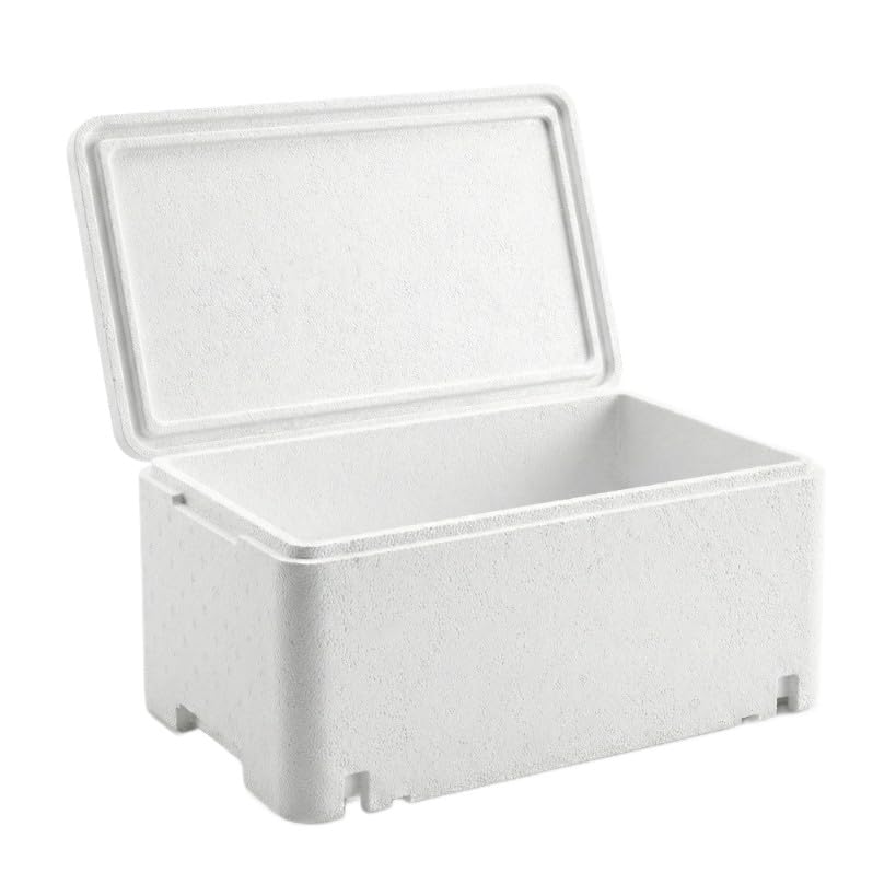 2X Styrobox mit Deckel 31L – Thermobox Extra Dicke Wand 40mm 58x38x28cm Isolierbox für Lebensmittel, Gastronomie & Versand – Profi Styroporbox Kühlbox für Catering & Transport – Weiß (2 Stück)