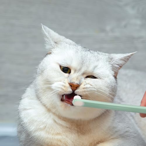 Kit de limpieza oral eficaz para conejos y mascotas pequeñas con cepillos duraderos de color rosa 6