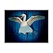 Trademark Fine Art J Hovenstine Studios Fine Art, Multicolor