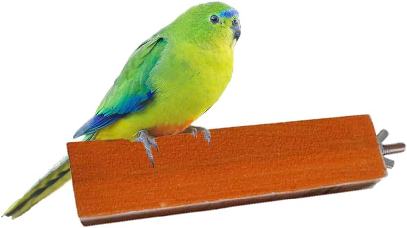 Wood Platform Perch for Bird Parrot Macaw African Grey Budgies Parakeet Cockatiel Conure Lovebird Finch Cage Toy