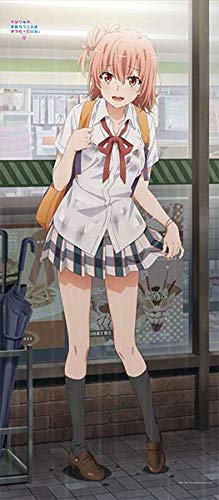 俺ガイル。完　BIGタペストリー（雨宿り）3種セット Amazon.co.jp: やはり俺の青春ラブコメはまちがっている。完 描き