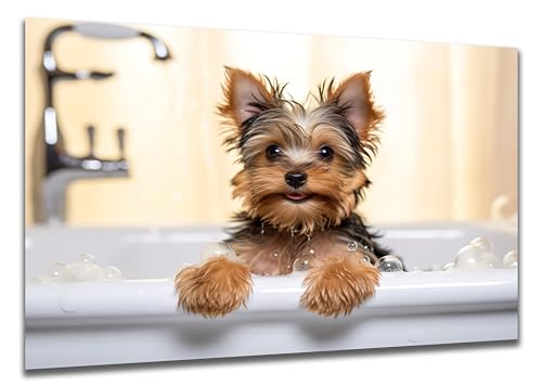DARO Design - Toiletten-Bild auf 6mm HDF 70x50 cm Hunde-Welpe Yorkshire Terrier in der Badewanne - Wand-Deko Bilder Lustiges Geschenk