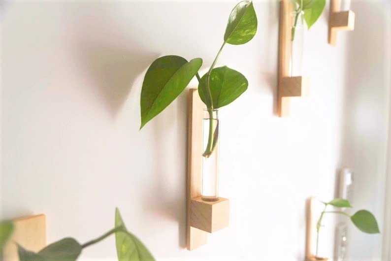 PALAASHE Hanging Planters Set of 4 | Indonesian Pine Wood (B0BW8K2L59) Amazon Price History, Amazon Price Tracker