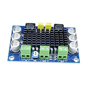 Audio Power versterker Board DC 12-26V 100W TPA3116D2 Digitale Enkele Kanaal Module XH-M542Audio Versterker Module…