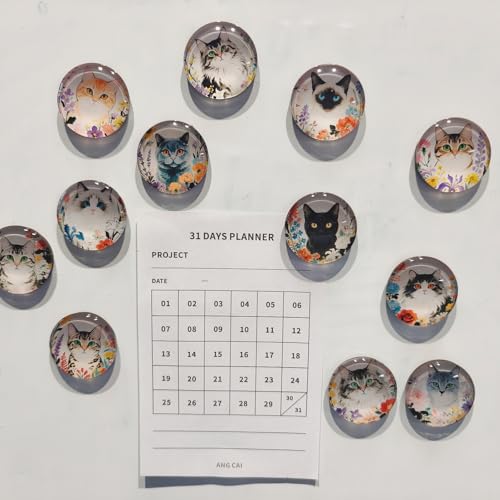 12 imanes decorativos de gato para refrigerador miniatura 3