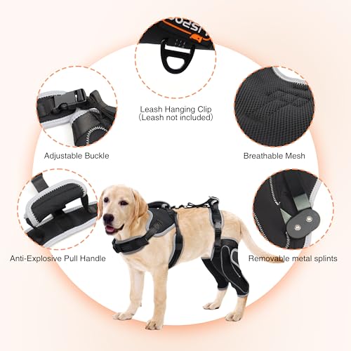 Image of Dog Knee Brace for Torn ACL&Luxating Patella-Both Leg-Upgraded-XL | Non-Slip Joint Brace,Adjustable Support With Sufficient Wrapping and Support & Luxating Patella,Pain Relief&Better Recovery