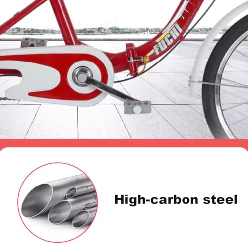 Bicicleta Carga 20 Pulgadas para Adultos con Canasto miniatura 3