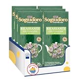 Tisana Rilassante con Passiflora, Camomilla, Melissa e Biancospino – Infuso Erboristico per Benessere e Relax – 20 Filtri x 2g – Variazioni 4/6/8/10 Pezzi (6)