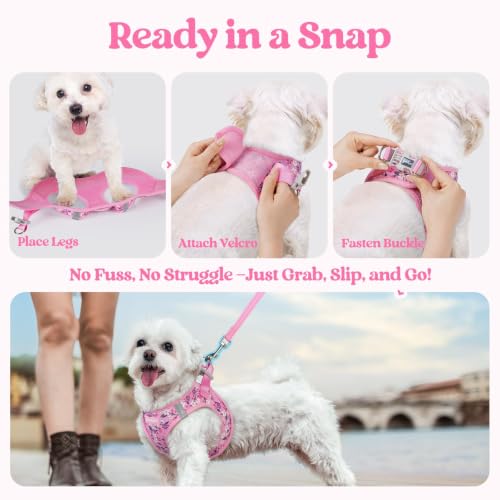 Image of rabbitgoo Dog Harness Medium Sized and Leash Set, Step-in Puppy Pet Vest