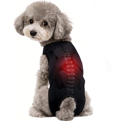 Dog Back Brace for IVDD Recovery Adjustable Dog Spine Support Harness for Dachshund Corgi French Bulldog Pug Pain Relief Back Protector for Senior PostSurgery LongBodied & Overweight Dogs XS