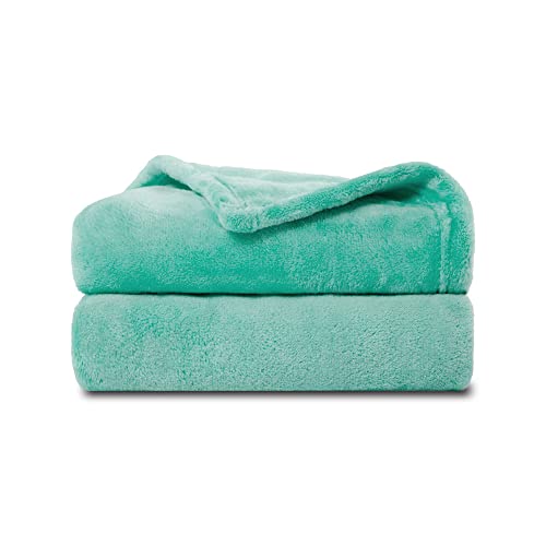 Image of NANPIPER Baby Blankets, Super Soft Fleece Fuzzy Blanket for Toddler, Luxury Cozy Lightweight Microfiber Plush Blanket-Throw Size 30 inchx40 inch,Lake Blue