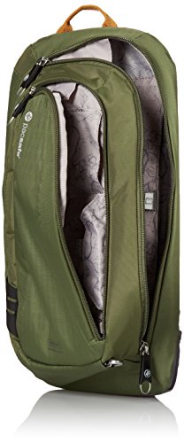 pacsafe venturesafe 325 gii