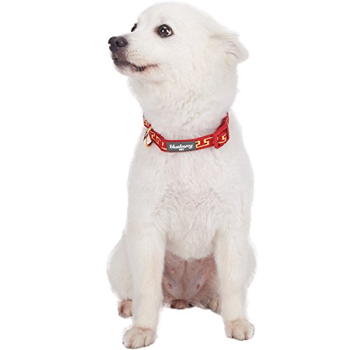 Blueberry Pet 4 Patterns Gold Metallic Thread T-Shape True Red Adjustable Dog Collar, Medium, Neck 14.5"-20" #TOP1