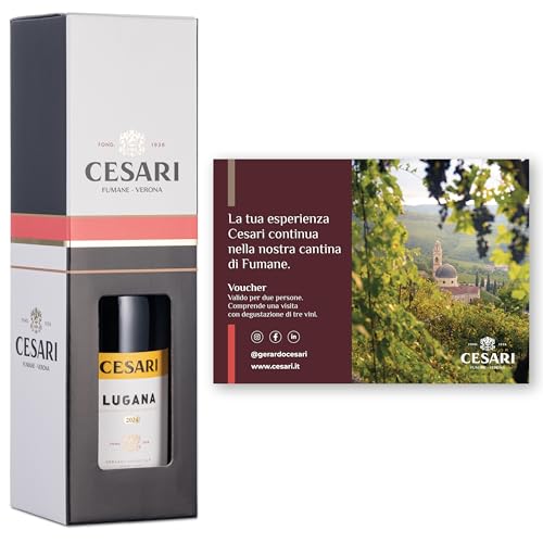 Cesari - Confezione regalo con Esclusiva Esperienza Cesari per 2 persone e Lugana DOC 2024-1 bottiglia da 750 ml