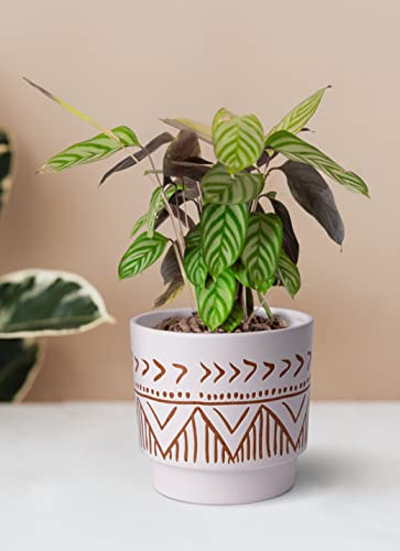 Geometric-Ceramic-Planters-6-Inch-Hand-Painted-Ceramic-Embossed-Plant-Pots-with-Drainage-Holes-2-Set-Boho-Minimalistic-Planters-for-Indoor-and-Outdoor-PlantsBeige-Brown