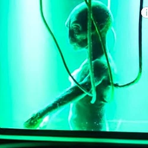 Senza la memoria delle origini