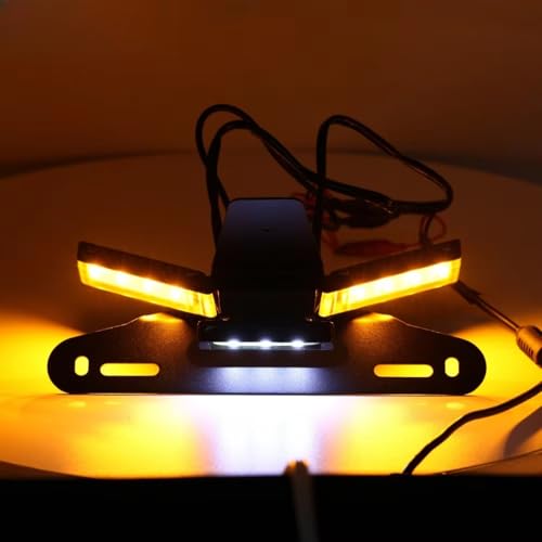 Support plaque immatriculation Ducati Panigale V4 avec éclairage LED - 3