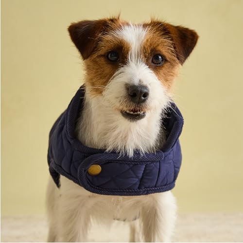 Rosewood Joules Hundemantel, gesteppt, Größe S, Marineblau